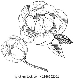 Peony in a vector style isolated. Full name of the plant: peony. Vector flower for background, texture, wrapper pattern, frame or border.