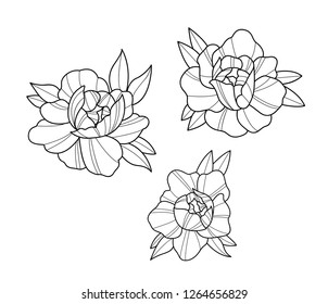 peony vector tattoo art