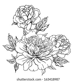 Peony: Vintage hand-drawing background with flowers. Vector illustration isolated on white.  