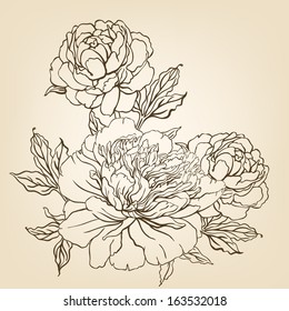 Peony: Vintage hand-drawing background with flowers. Vector illustration. 