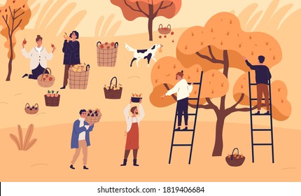 People agricultural workers picking seasonal fruits at garden vector flat illustration. Man and woman farmer collect pear, plum, orange and apple at plantation. Autumn harvest, agriculture work