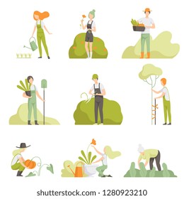 People caring for plants in the garden set, men and women, watering plants, growing agricultural products vector Illustration