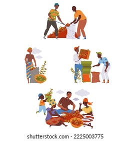 People Character Harvesting Coffee Picking Fresh Fruit in Bag and Basket Vector Set