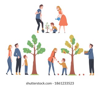 People Characters Watering Tree and Picking Fruits Vector Illustration Set