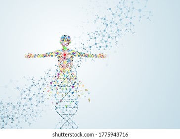 People conceptual connection of the body female molecules of vector illustration dna chemistry human science