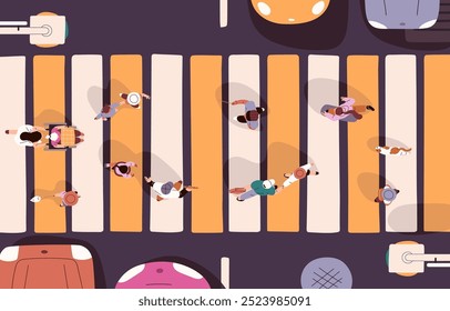 People cross road on crosswalk top view. Crowd of pedestrians walk by street in city. Citizens with kids, pets going through safety zebra during cars stop at traffic light. Flat vector illustration