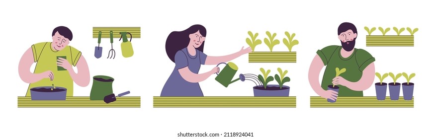 People cultivating plants, growing crops or vegetables in pots at home or on balcony. Urban gardening and farming illustration.