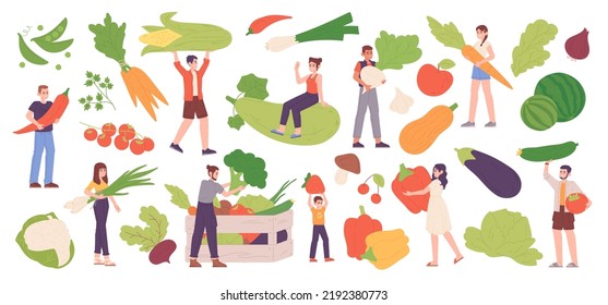 Personas con productos dietéticos. Alimentos para granjeros de hortalizas vitamínicas, dieta personalizada nutrición alternativa estilo de vida vegetariano, productos agrícolas frescos, ilustración vectorial chillona de vegetales orgánicos