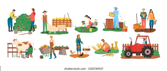 People at farm vector, farmers with cow and pigs, woman feeding chickens, couple with carrot basket, harvesting season. Bee honey and tractor cultivation