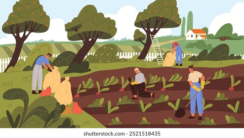 Pessoas ou agricultores que trabalham na plantação. Colheita de frutas e legumes. Ilustração ou banner de vetor. Época de colheita de verão ou outono. Paisagem rural. Tema Agricultura e Agricultura.