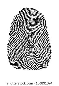 People fingerprint isolated on white background for security concept design. Jpeg (bitmap) version also available in gallery