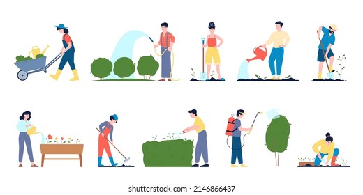 People gardening lush plants in wood pots and ground. Transplanting organic greenery, summer rest in village. Agriculture hobby, recent vector planting characters