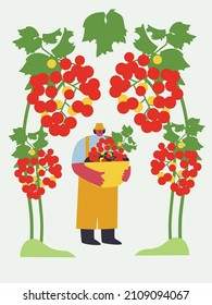 People gardening. man planting gardens grape, agriculture gardener hobby plants outdoor. summer fruit. Vector landscape designers and farming equipment. Funny colored typography poster.