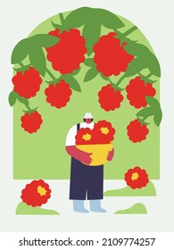 People Gardening. Man Planting Gardens Raspberries, Agriculture Gardener Hobby Plants Outdoor. Summer Berries. Vector Landscape Designers And Farming Equipment. Funny Colored Typography Poster.