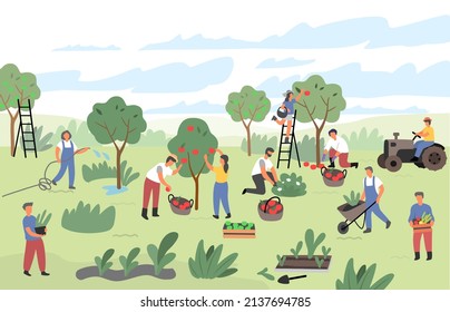 Vector de jardinería. Hombre y mujer plantando frutas y plantas. Personajes trabajando en el jardín.