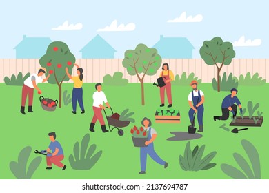 People gardening vector. Man and Woman planting fruit and plants. Characters Working in garden.
