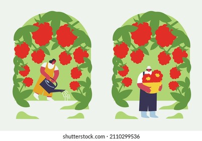 People gardening. Woman and man planting gardens berries, agriculture gardener hobby plants outdoor. summer fruit. Vector landscape designers and farming equipment. Funny colored typography poster.