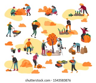 People gathering crops or seasonal harvest, collecting ripe vegetables, picking fruits and berries, remove leaves. Men, women work on a farm. Agricultural workers in autumn. Cartoon vector