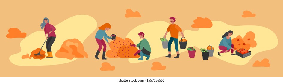 People gathering crops or seasonal harvest, collecting ripe vegetables, picking fruits and berries, remove leaves. Men, women work on a farm. Agricultural workers in autumn. Cartoon vector
