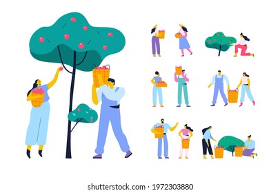 People gathering fruits in orchard or at farm flat vector illustration