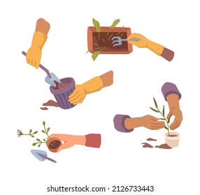 People growing houseplants using tools and planting instruments. Vector small shovel and rake, pots with seeds and seedling. Gardening and horticulture, hobby and care for nature. Flat cartoon