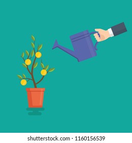 People hand watering money tree, Watering can and money tree, money investment concept