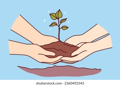 People hands with tree sprout in ground as metaphor for environmental activism and concern for nature. Two people plant tree together in ground in backyard, wanting to create scenic view from window.