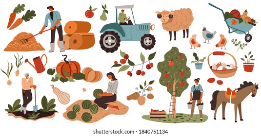 People harvesting, breeding animals in farm. Farming and agriculture industry. Sheep and horse, gathering apples, watermelons and carrots. Using transport for transportation, vector in flat style