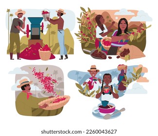 People Harvesting Coffee Crop and Drinking Hot Aromatic Beverage Vector Set