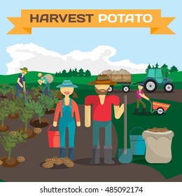 People harvesting potato in a field in the village. Manual labor, tractor with trailer, shovel, bucket, sack, bush potatoes, rural view. Cartoon flat vector illustration