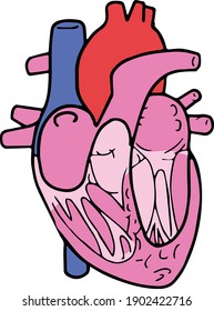 People heart-shaped vector divided into color