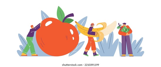 People hugging and carrying huge fruits - apple, banana and grapes, flat vector illustration isolated on white. Cartoon characters eating healthy snacks. Concepts of harvesting and nutrition.