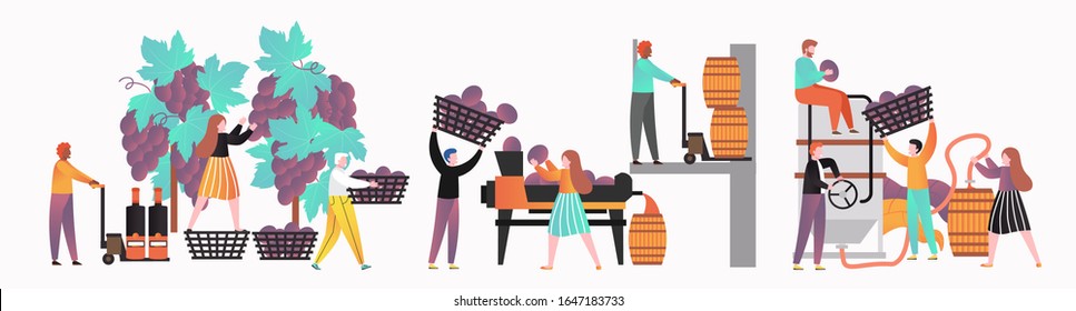 People involved in wine making process, vector illustration isolated on white background. Harvesting, crushing, pressing, fermentation wine production stages.