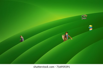 People keep tea leaves backgrounds vectors