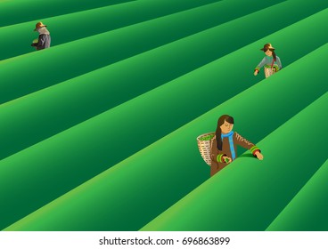 People keep tea leaves graphic vectors 