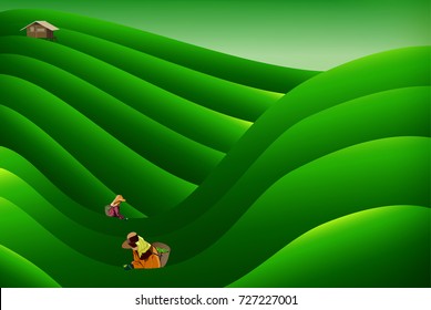 People keeping tea leaves backgrounds vectors