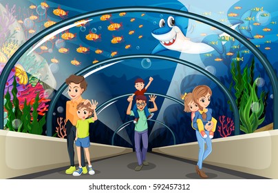 People looking at fish in the aquarium illustration