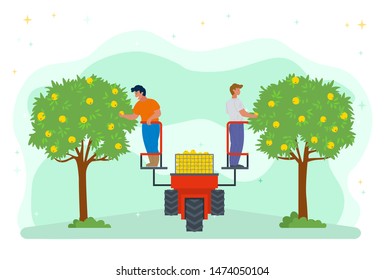 People on lifting machine vector, garden harvesting farming. Apple trees with fruits, seasonal works. Machinery harvest platform for picking organic products. Picking apples concept. Flat cartoon