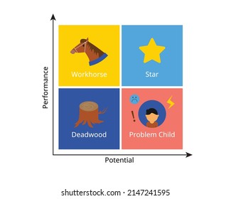 People Performance Potential Model for simple assessment of employee