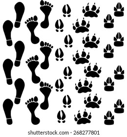 People and pets footsteps
