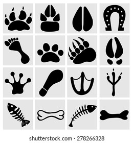 People and pets footsteps