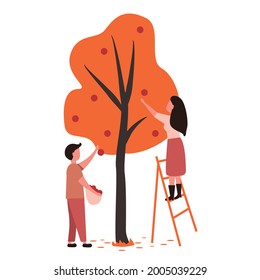 People pick fruit in the garden or on the farm. The farmer collects fruits in the fall. Harvesting concept. Vector illustration in gloss satle. Isolated on white background.
