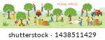 People picking apples in garden vector, man and woman gathering fruits from trees. Trucks and cars for transportation of food, summertime farming. Picking apples from tree to basket. Harvest festival