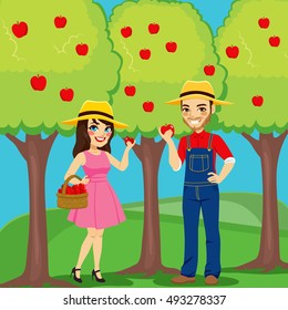 People picking fresh organic red apples from tree