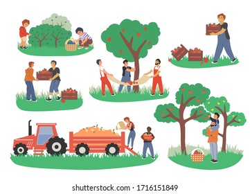 People Picking Fruits And Berries, Vector Flat Isolated Illustration. Male And Female Characters Gardeners Farmers Harvesting Apples And Pears In Garden. Gardening, Fruit Picking Concept.