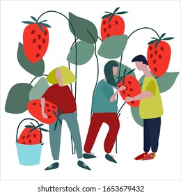 People picking strawberries vector illustration. Harvesting concept. Agritourism concept. Pick-your-own concept. Hand drawn illustration in abstract flat style