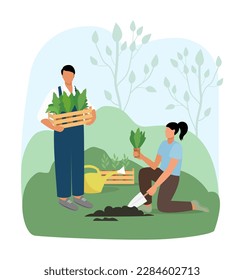 People plant plants in the garden. Spring work in the field. A man and a woman work in the garden.