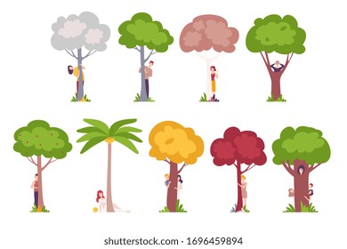 People Standing Behind Trees, Young Men and Women Hiding and Peeking Behind Tree Trunks Vector Illustration