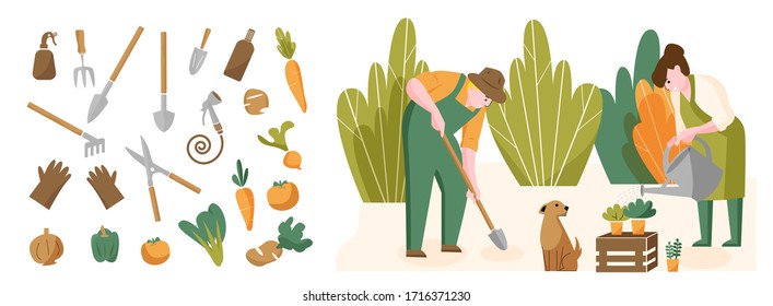 People stay home and grow veggies at home. Cultivating home garden, Quarantine activities, Flat cartoon vector illustration.