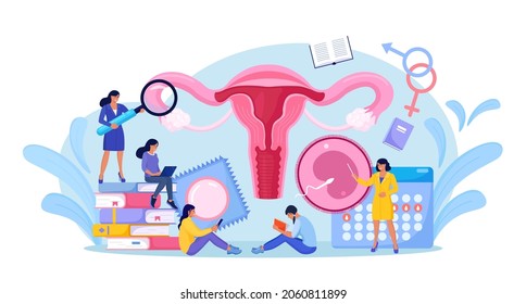 People Are Studying Sex Education. Human Biology And Anatomy Lesson. Sexual Health Lesson For Young People. Contraception And Female Reproductive System. Body Internal Organ. Sexuality And Gender